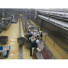 dây chuyền chế biến gia cầm của băng tải